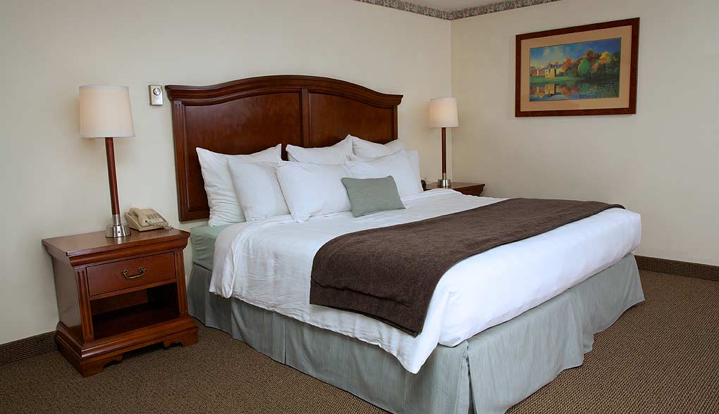 Cape Cod Hotel Room Picture
